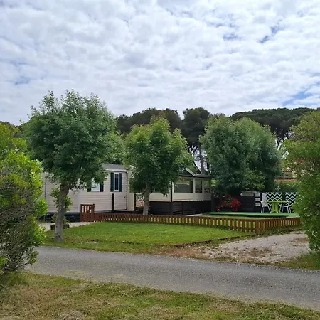 Mobil Confort Les Pins Maritimes * Hyères